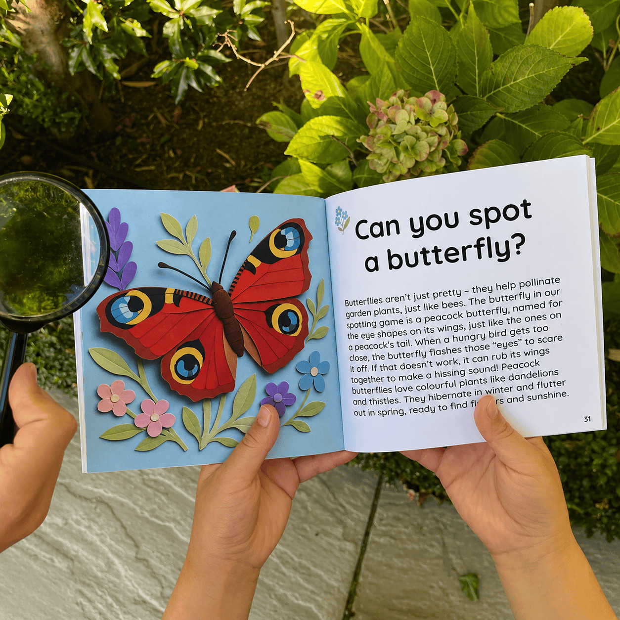 Child's hands holding Little Moments Outside open at the peacock butterfly page in a garden, with a magnifying glass and hydrangea plant in the background