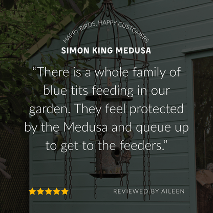 Simon King Medusa Defender for Hanging Bird Feeders