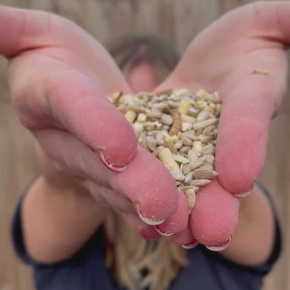 A Little Bird Co. Seasonal Bird Food | Subscription | One Time Purchase