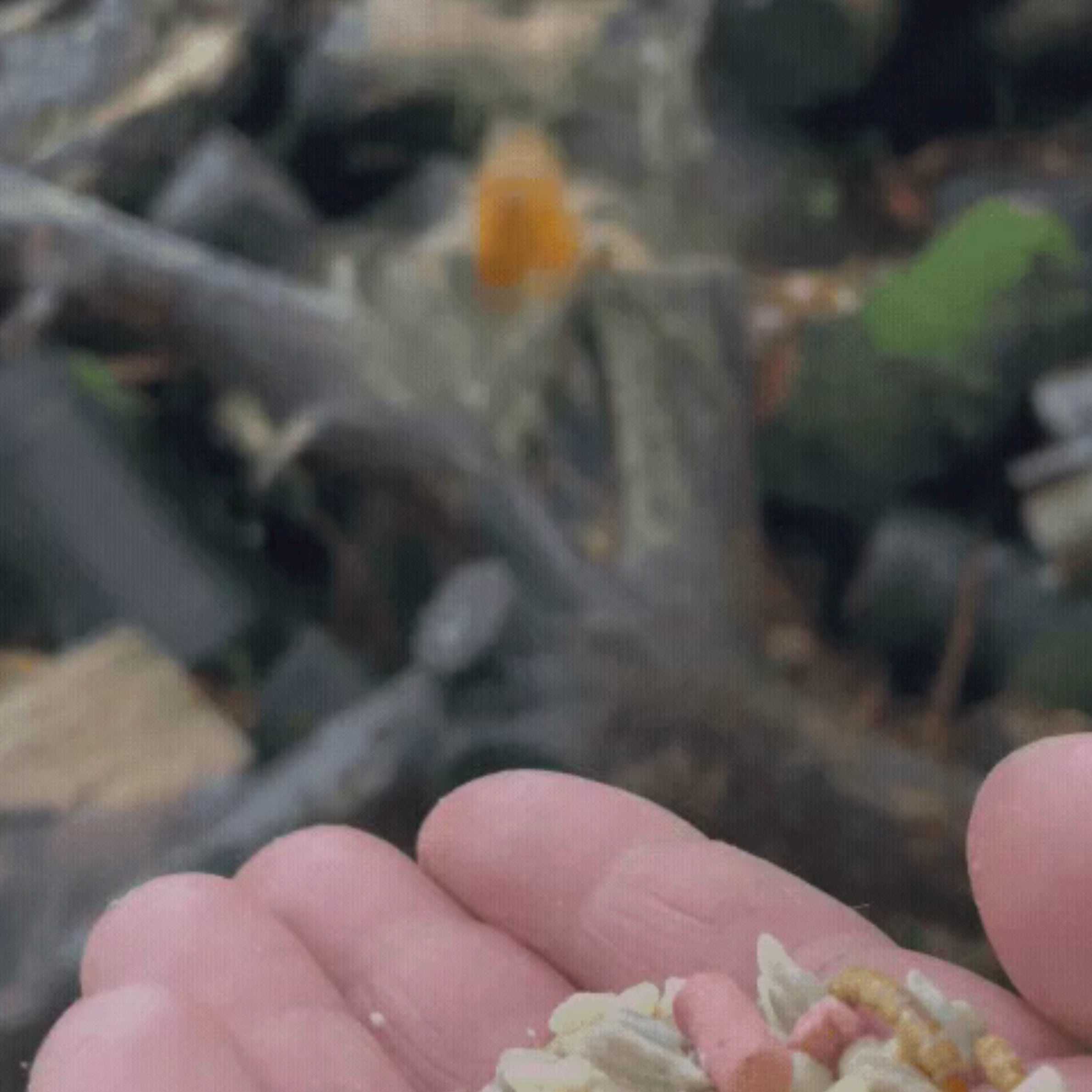 Load video: 