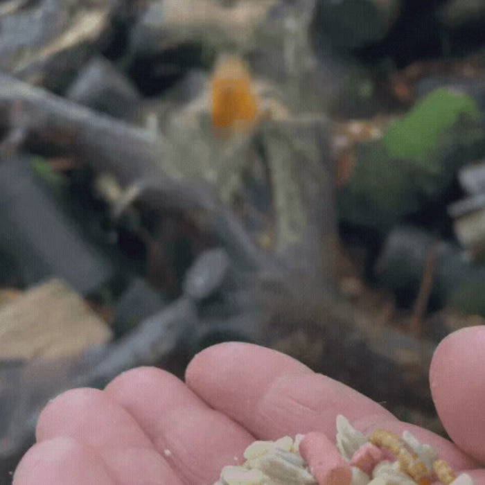 Load video: 