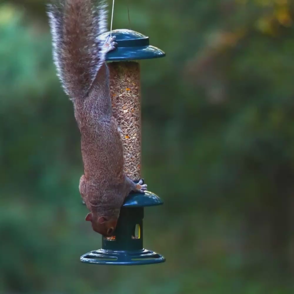 Close-up of the RSPB Easy Clean Squirrel Buster's weight-activated feeding ports closing instantly as weight is applied — squirrel-proof seed feeder mechanism in action
