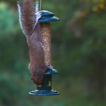 Close-up of the RSPB Easy Clean Squirrel Buster's weight-activated feeding ports closing instantly as weight is applied — squirrel-proof seed feeder mechanism in action