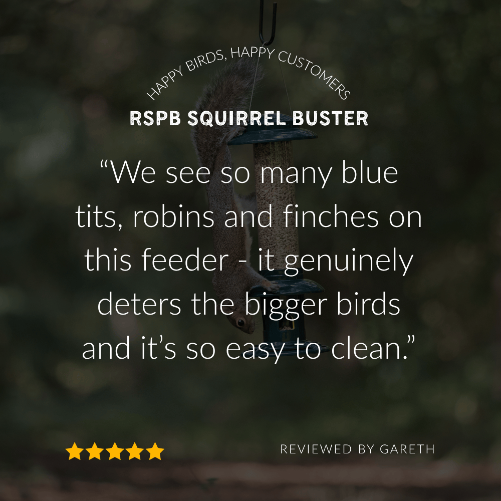 RSPB Easy Clean Squirrel Buster