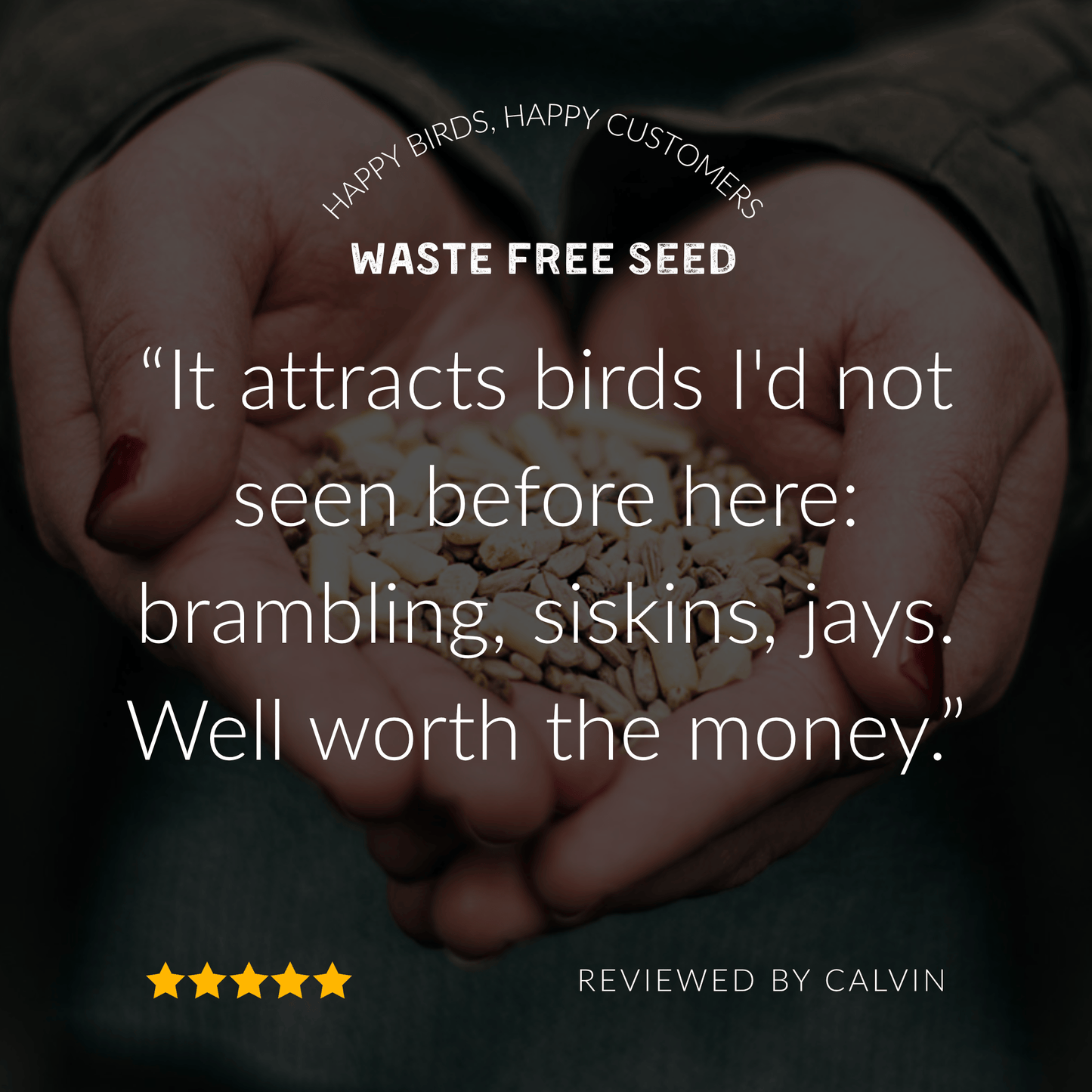 A Little Bird Co. Seasonal Bird Food | Subscription | One Time Purchase
