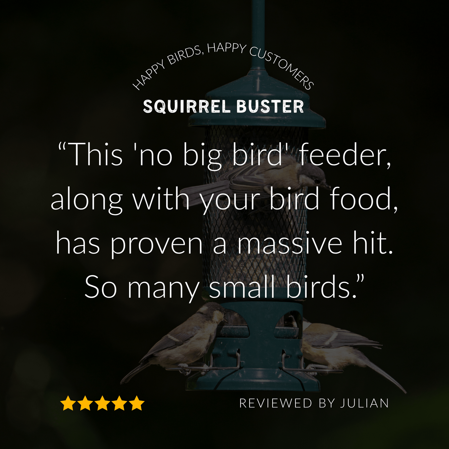Squirrel Buster Bird Feeder