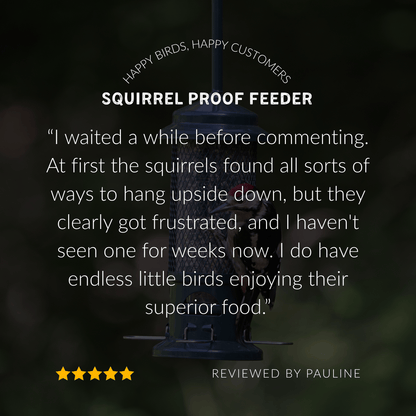 Squirrel Buster Bird Feeder