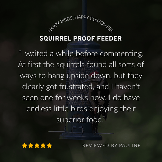 Squirrel Buster Bird Feeder