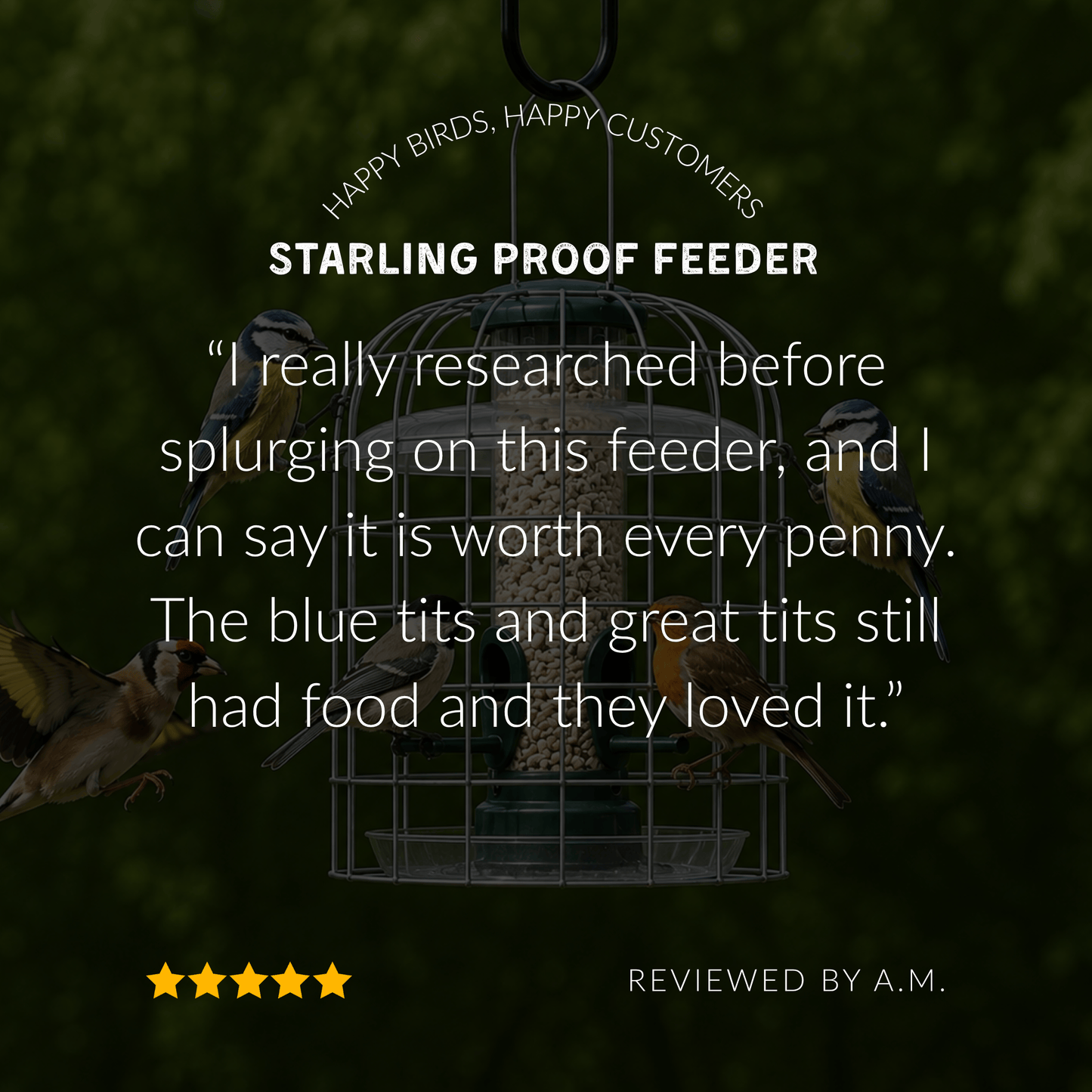 Starling-Proof Bird Feeder Guardian Set