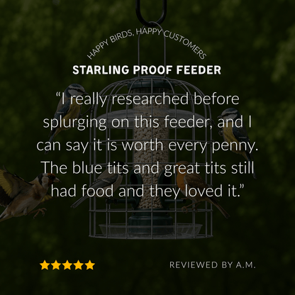 Starling-Proof Bird Feeder Guardian Set