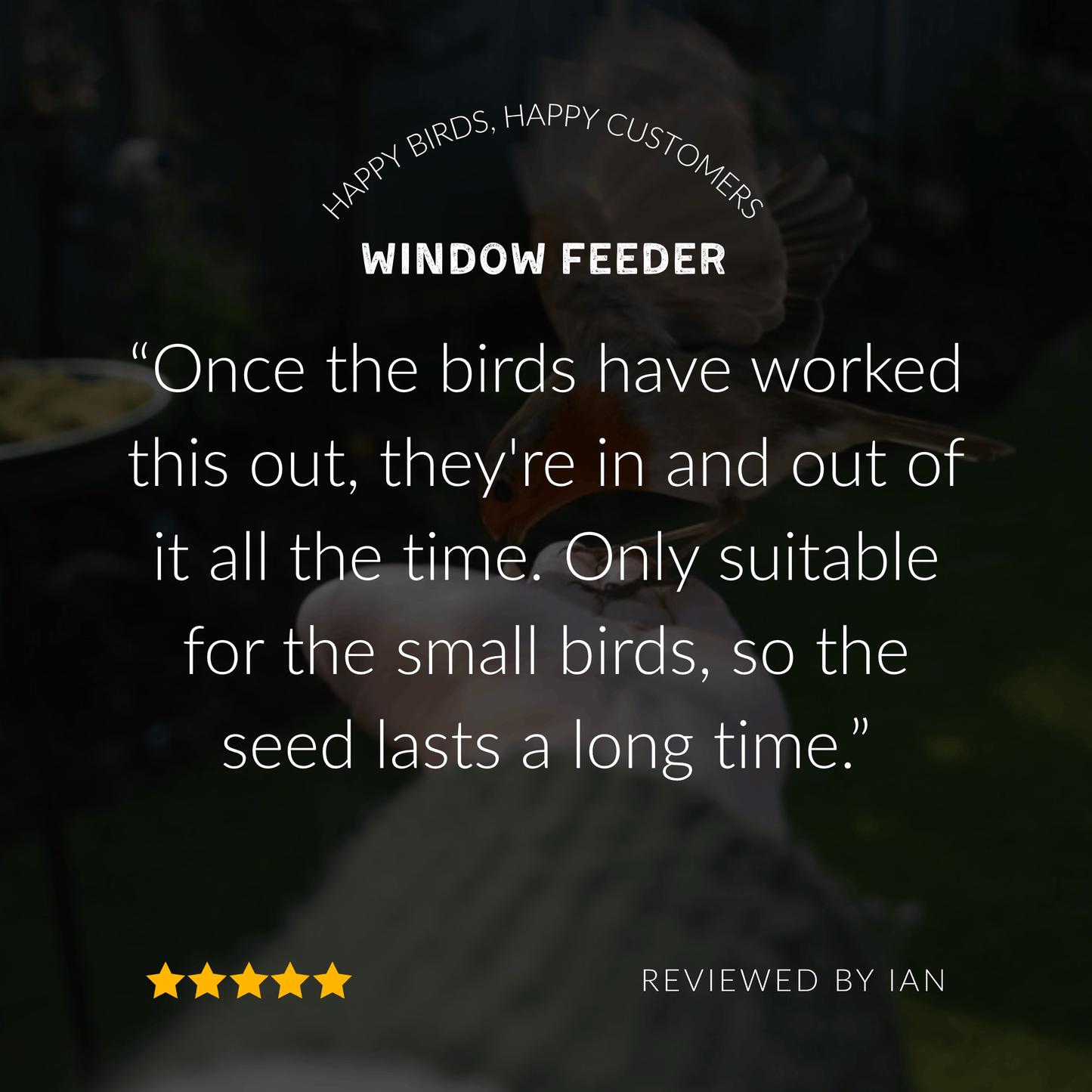 The Little Bird Window Feeder