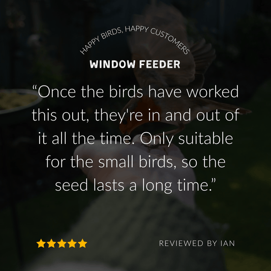 The Little Bird Window Feeder