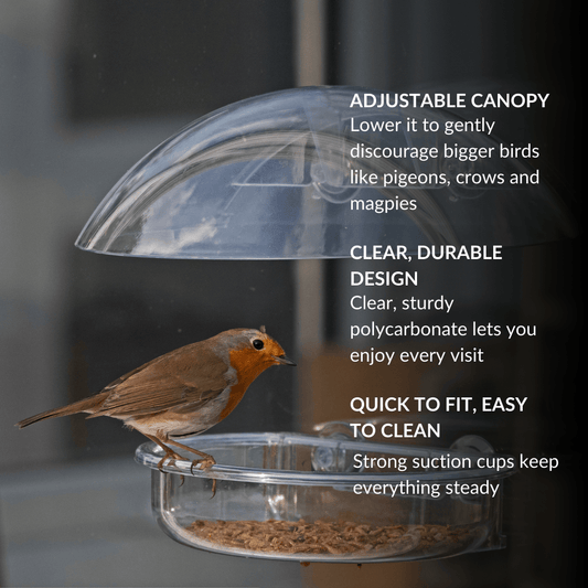 Window bird feeder canopy keeping food dry in rainy weather