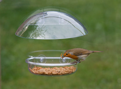 Adjustable canopy on clear window bird feeder for small birds