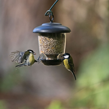 Bird feeder for small birds