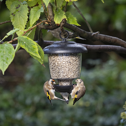 Bird feeder for finches