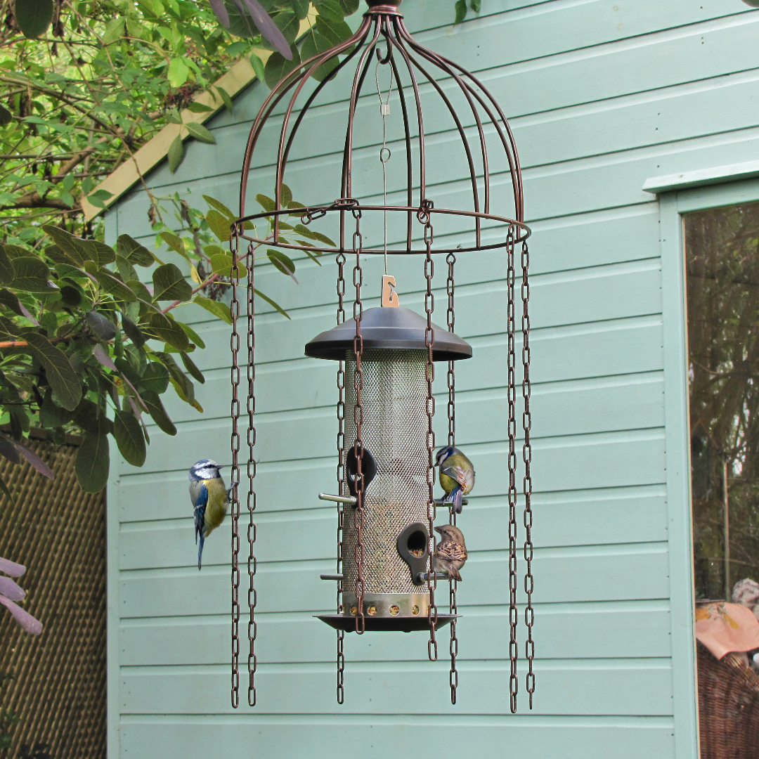 Stop crows from eating your bird food
