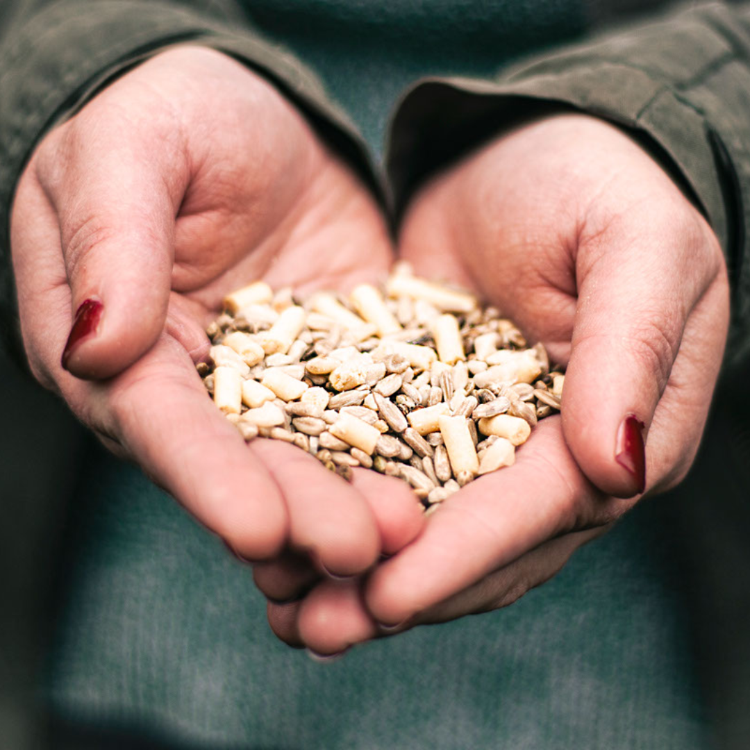 Hand blended bird food