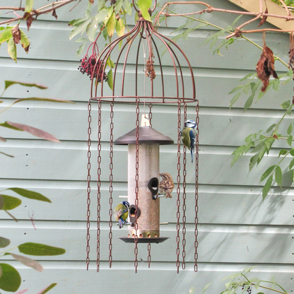 Stop pigeons from eating your bird food