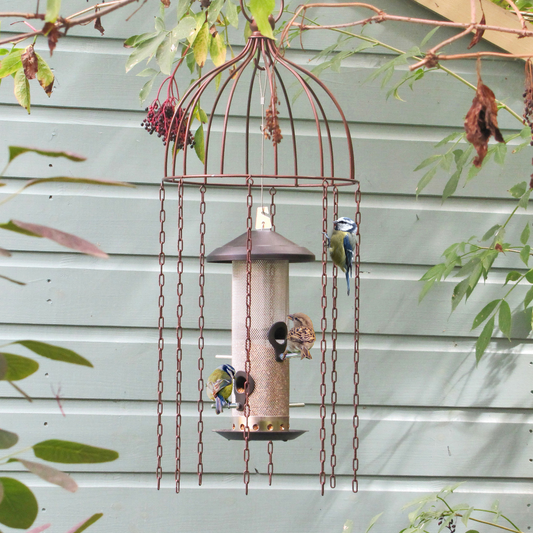 Stop pigeons from eating your bird food