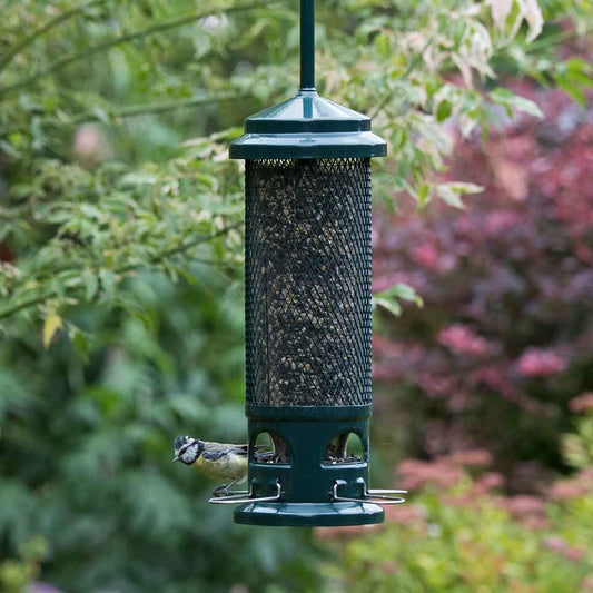 squirrel proof bird feeders