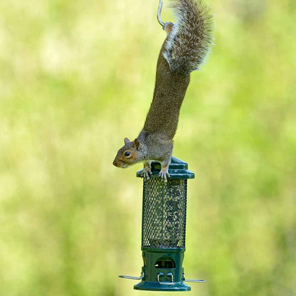squirrel proof bird feeder